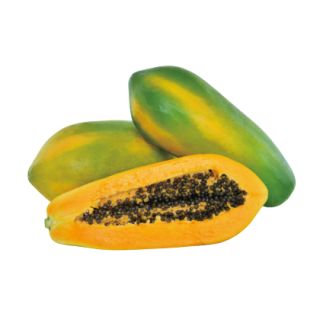 Golden Lady Papaya From Known You Seed (India)-KYI